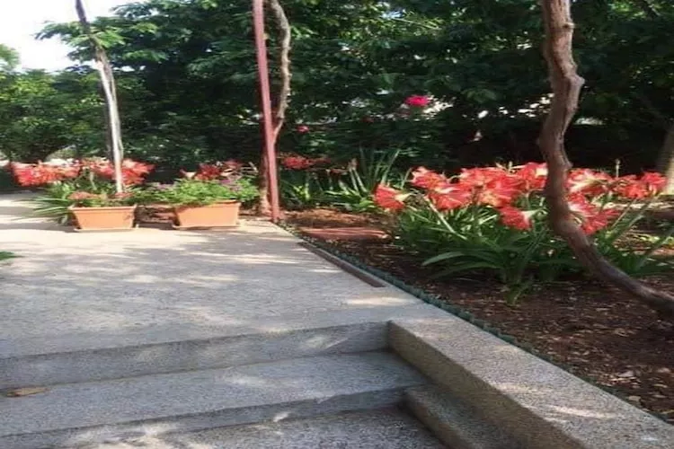 Apartments Villa Tanja - Two Bedroom Apartment with Terrace-Tuinen zomer