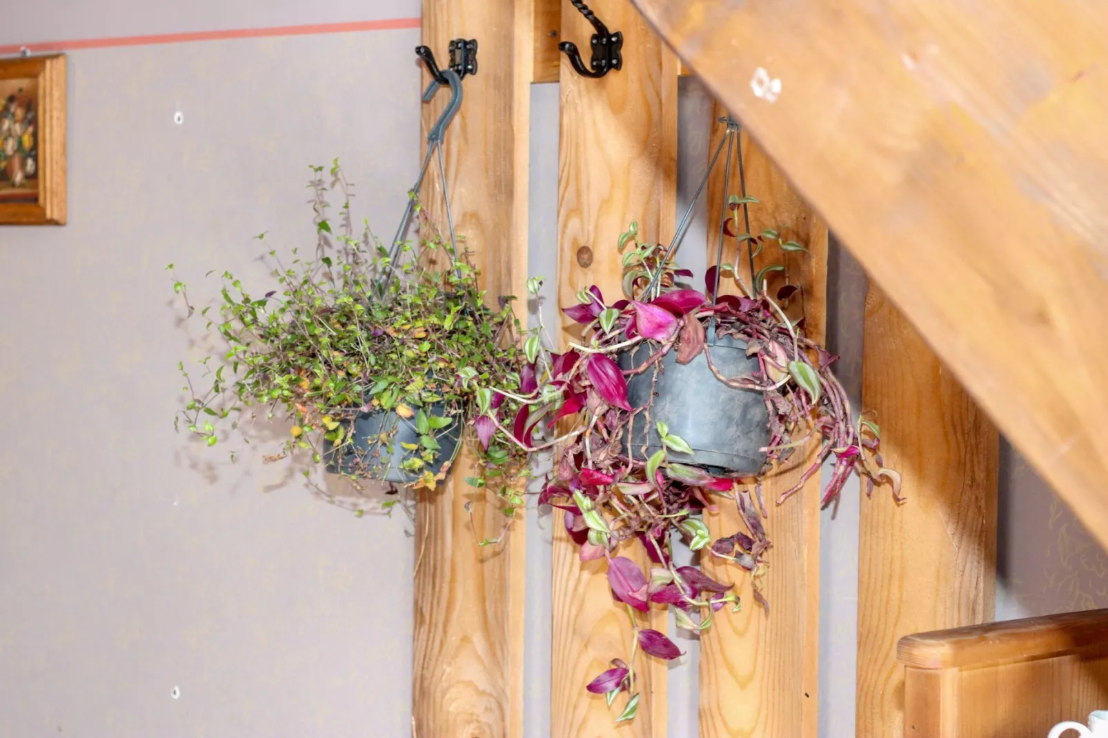 Ethno Village Dolina Mira - Two Bedroom Holiday Home (Trebević)-Binnen