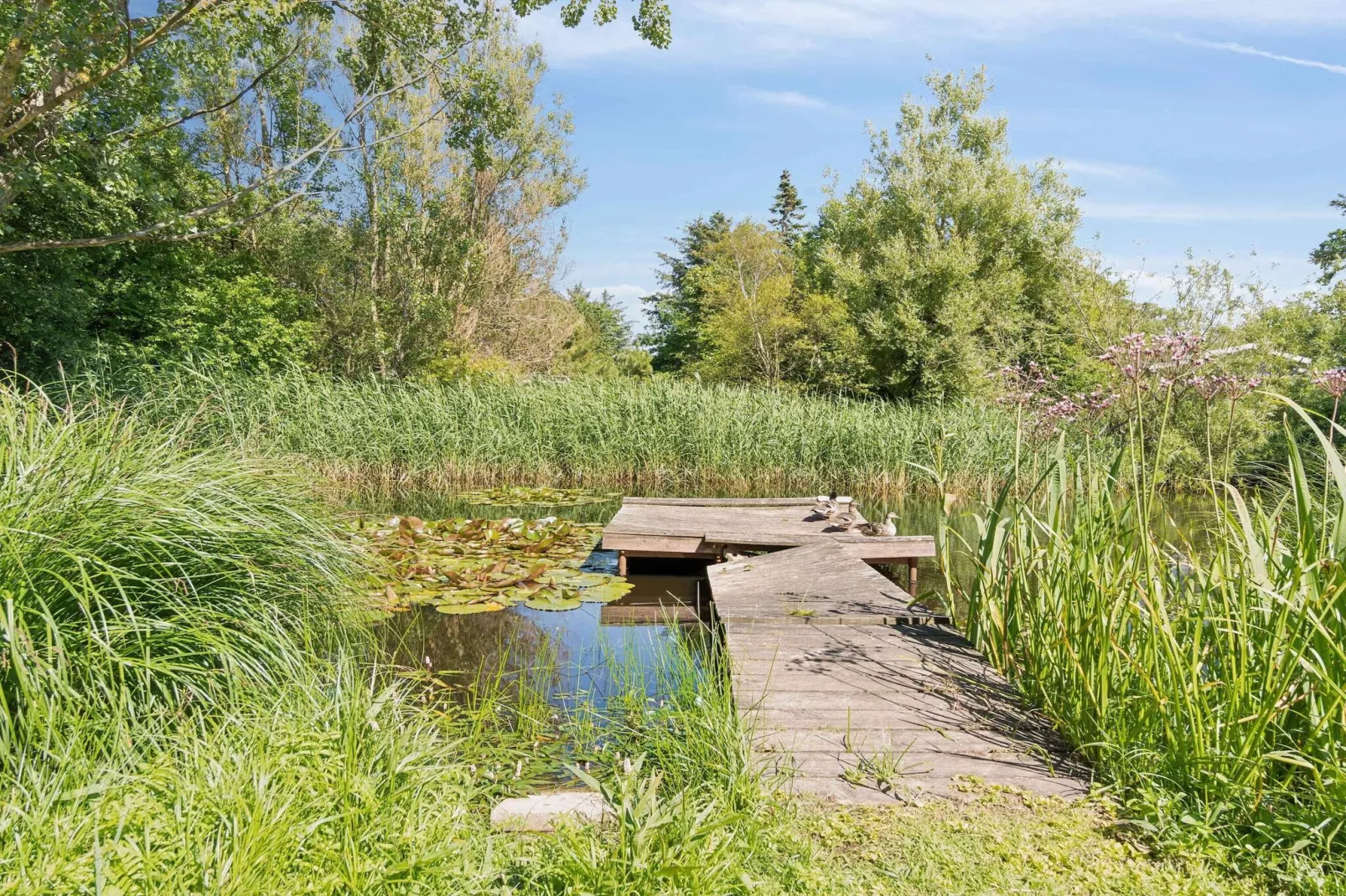 5 sterren vakantie huis in Gilleleje-Buitenlucht