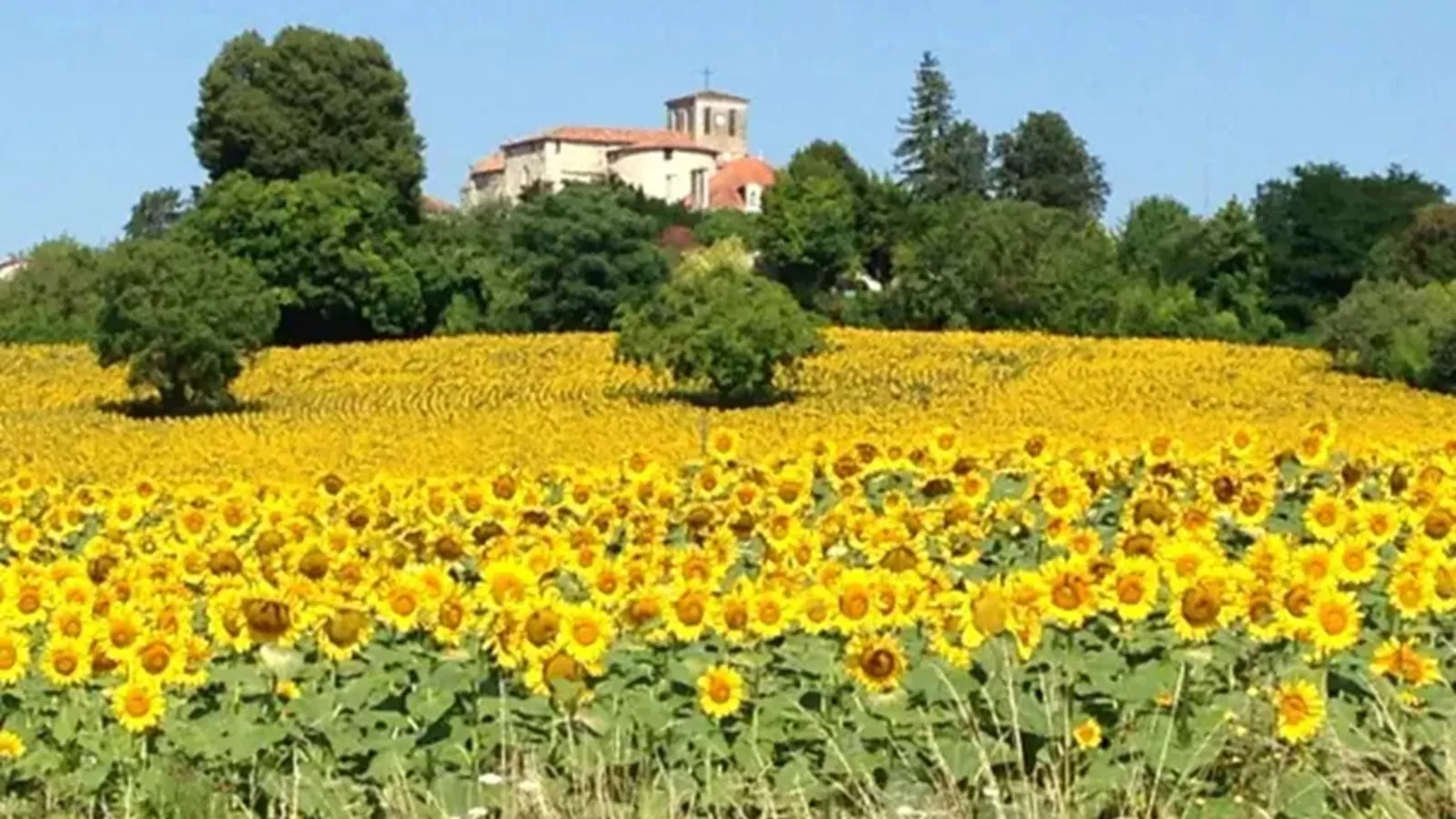 La Nit de la Fontaine-Gebieden zomer 5km