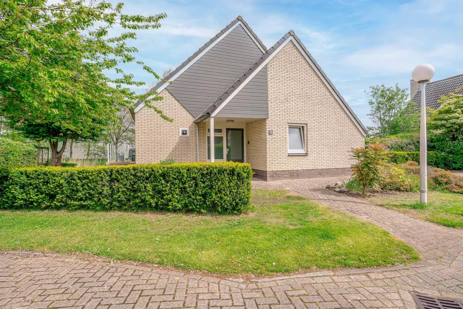 Kamperfoelie 47-Buitenkant zomer