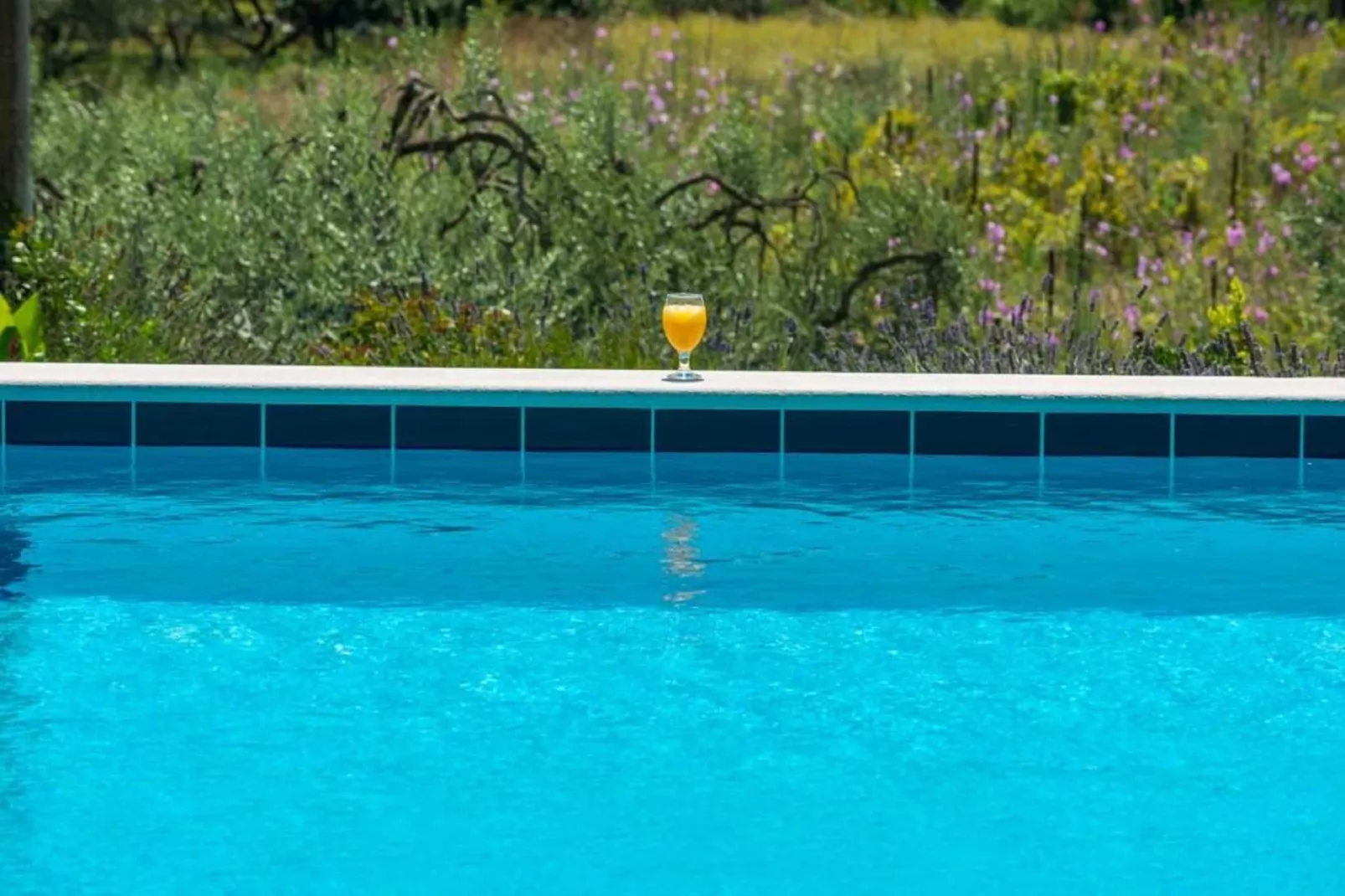 Apartments Villa Harmonia - Comfort One-Bedroom Apartment with Balcony and Shared Pool-Zwembad