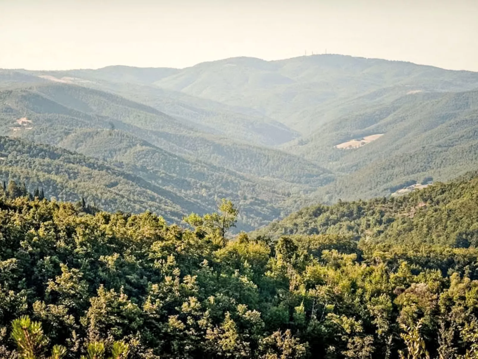 Il Frassino del Borgo di Ghiora-Buiten