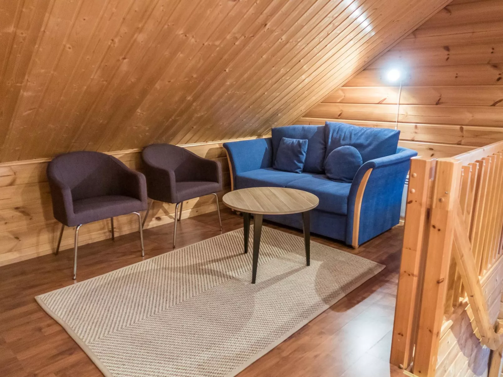 Vuokatti villas kettu-Binnen