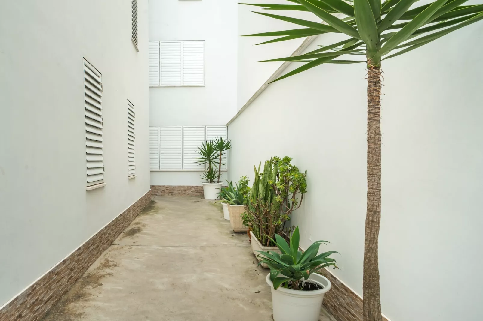 TORRE HERMOSA CONIL DE LA FRONTERA-Terrasbalkon