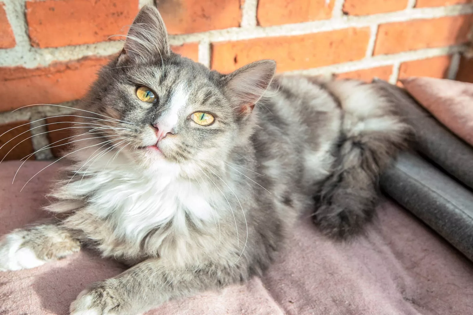 4 Personen vakantie huis in Højer-Niet-getagd