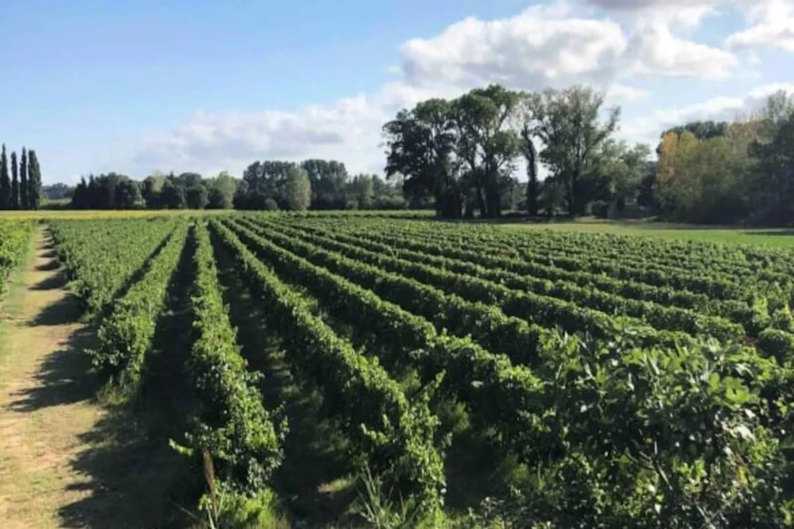 Maison Cosy Lodge, 15 P, Clim, Wifi, Cour, Garage-Niet-getagd