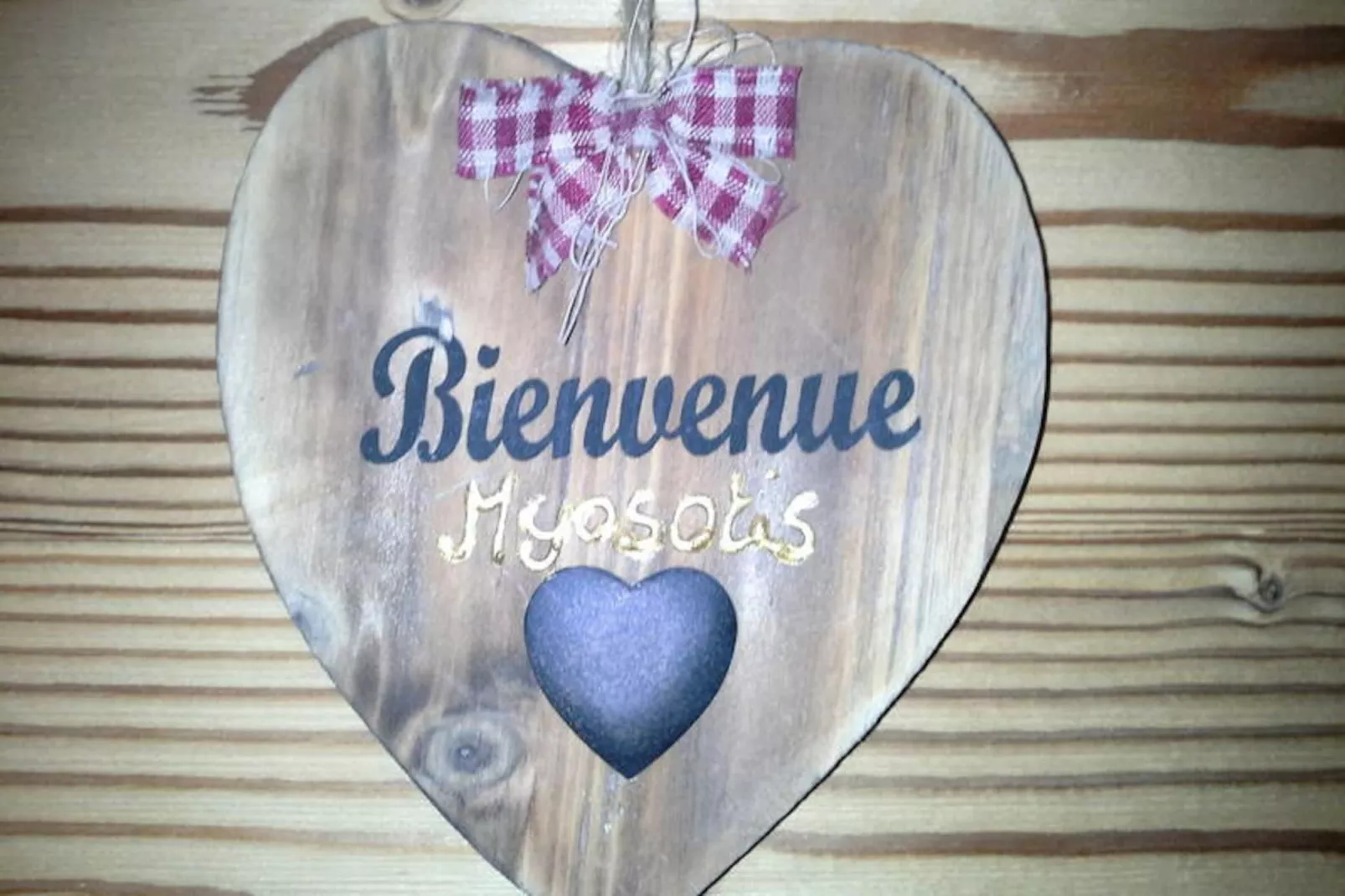 Chalet Les Ancolies-Niet-getagd