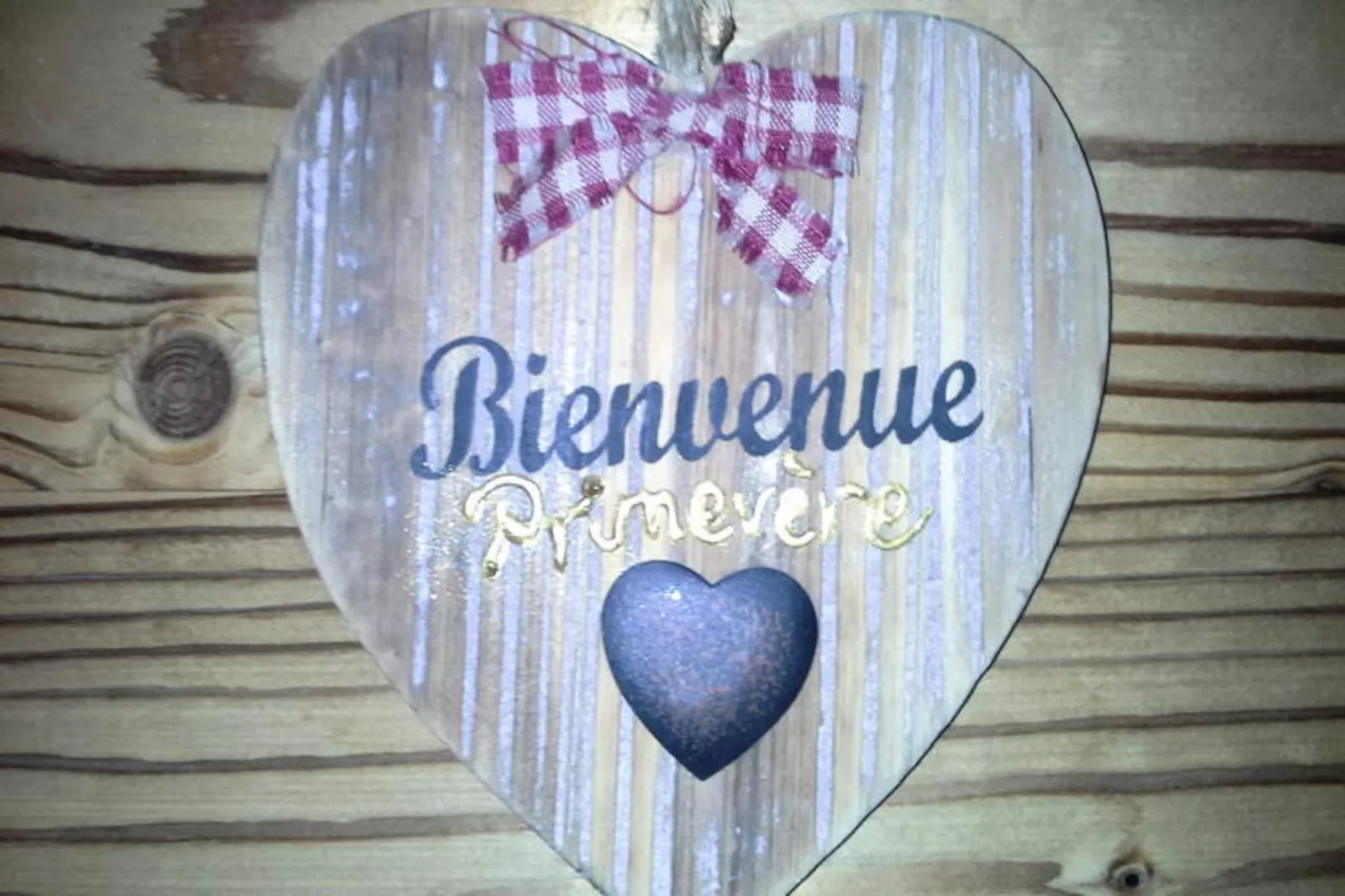 Chalet Les Ancolies-Niet-getagd