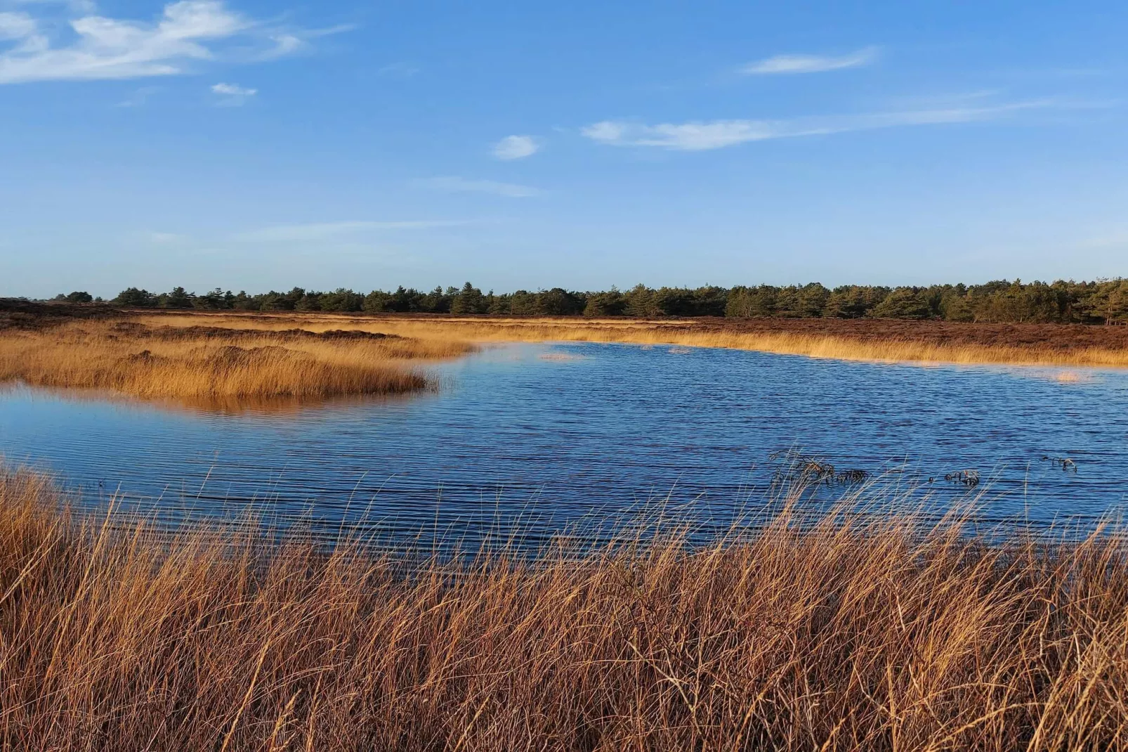 Rustig toevluchtsoord in Bolilmark-By Traum