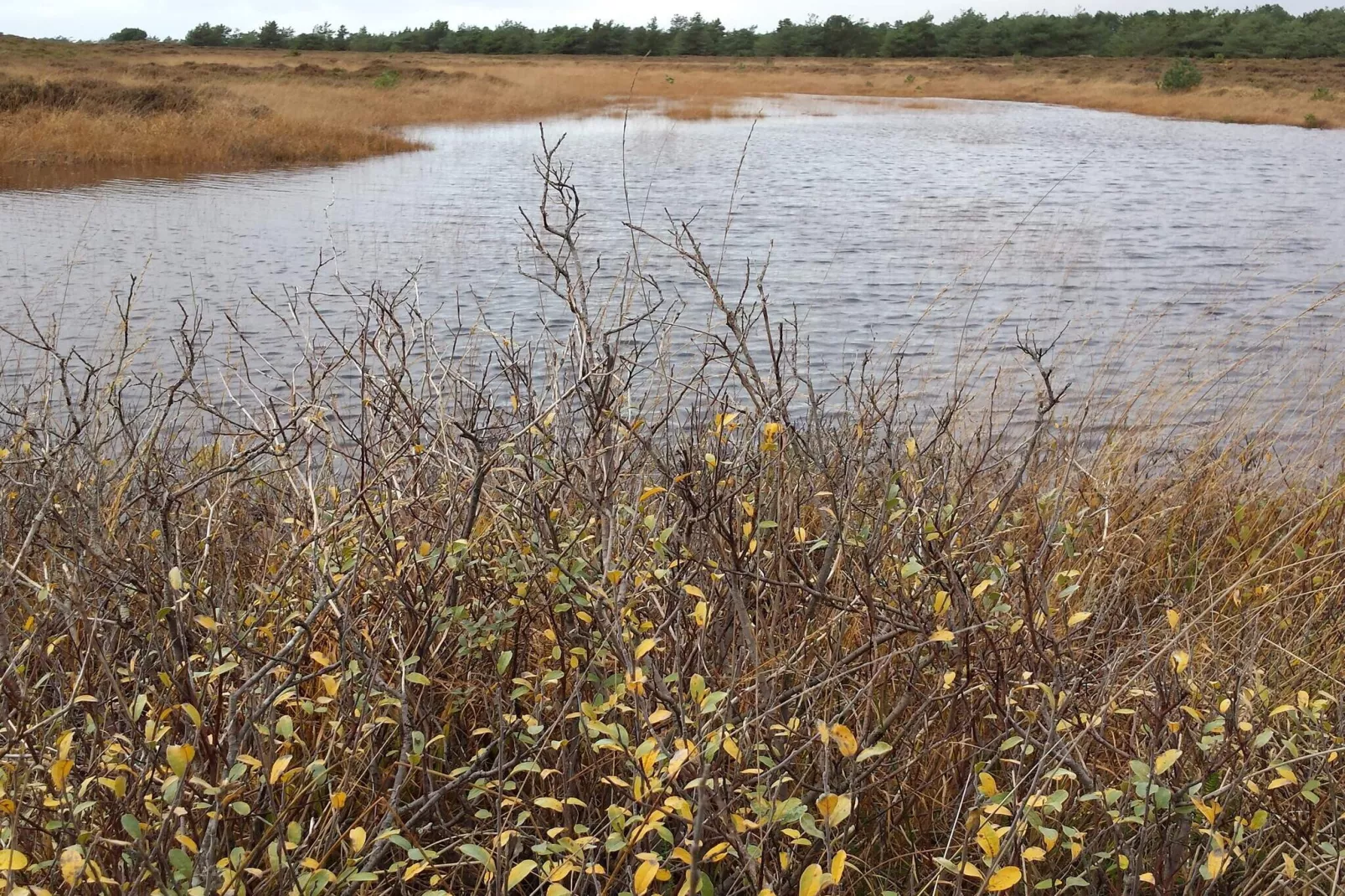 6 persoons vakantie huis in Rømø-Waterzicht