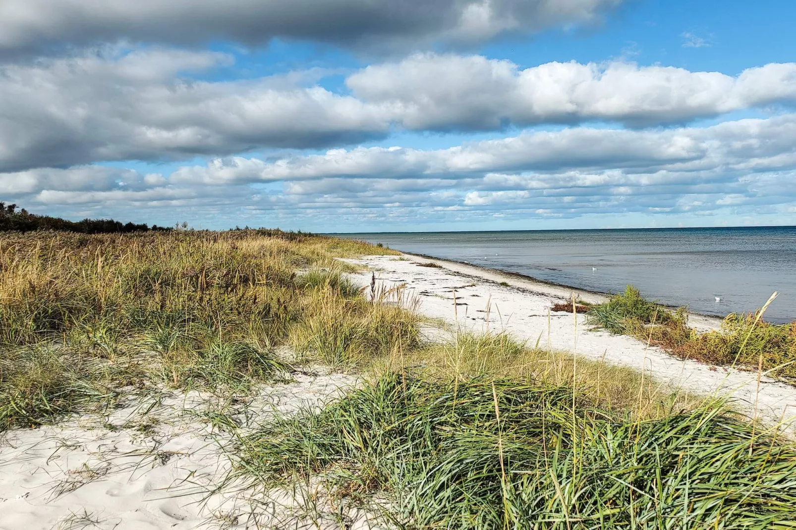 16 persoons vakantie huis in Væggerløse-Waterzicht