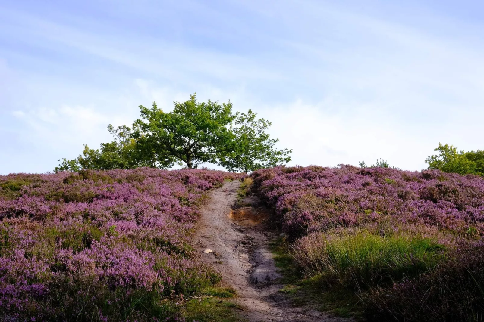 Lichte Cottage-oase in Silkeborg-By Traum-Waterzicht