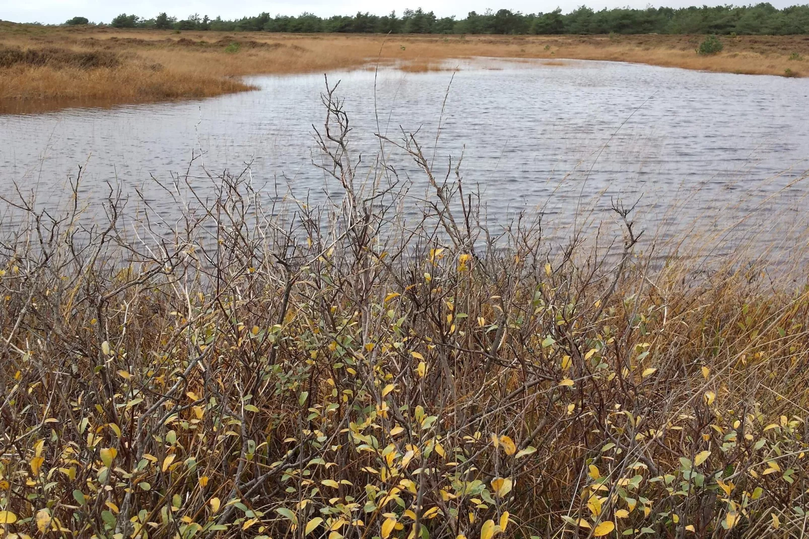 5 persoons vakantie huis in Rømø-Waterzicht