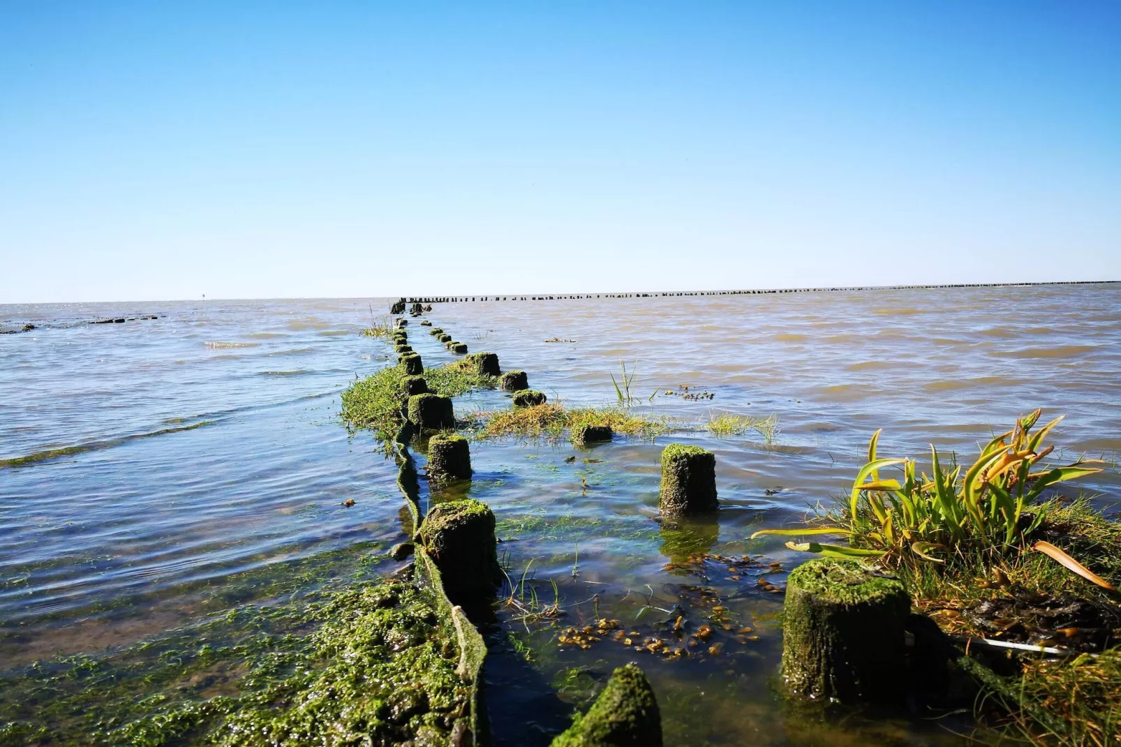5 persoons vakantie huis in Højer-By Traum-Waterzicht