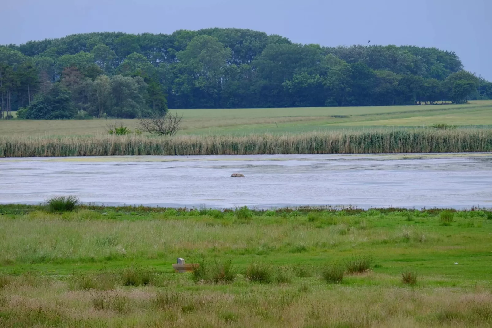 9 persoons vakantie huis in Væggerløse-By Traum-Waterzicht