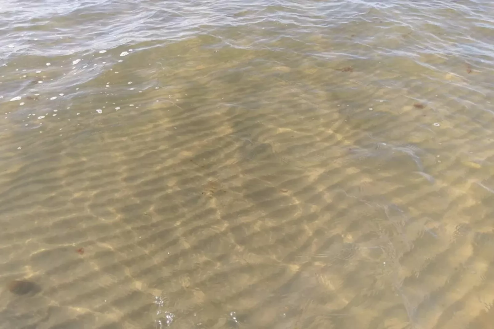 6 persoons vakantie huis in Væggerløse-By Traum-Waterzicht