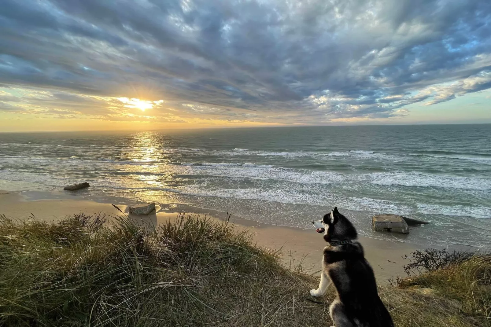 Afgelegen oase met zwembad -- By Traum Ferienwohnungen-Waterzicht