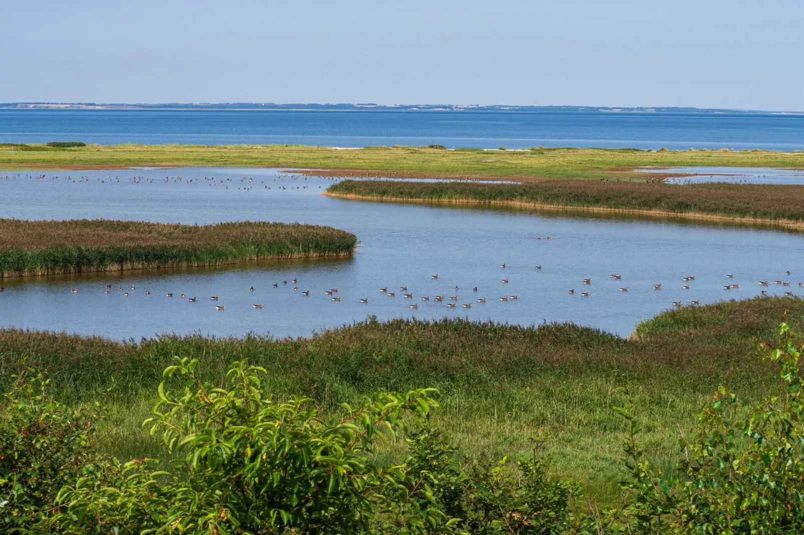 6 persoons vakantie huis in Vinderup-By Traum-Waterzicht