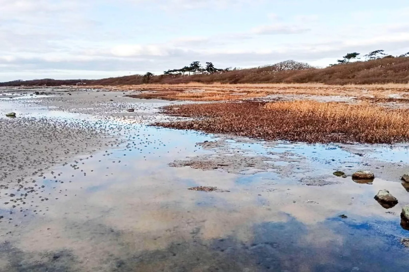 4 persoons vakantie huis in Jægerspris-By Traum-Waterzicht