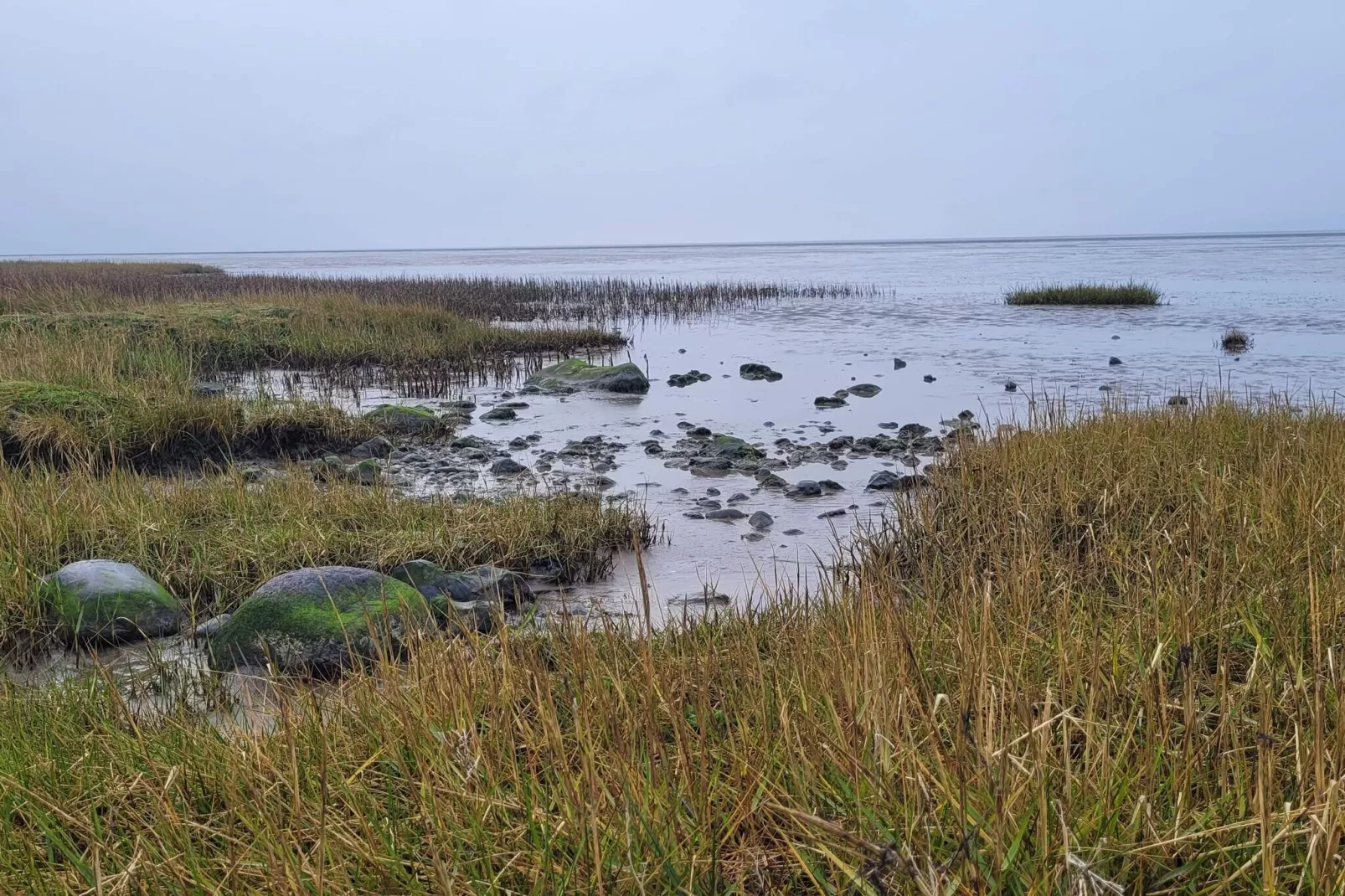 Moderne kusttoevlucht -- By Traum Ferienwohnungen-Waterzicht