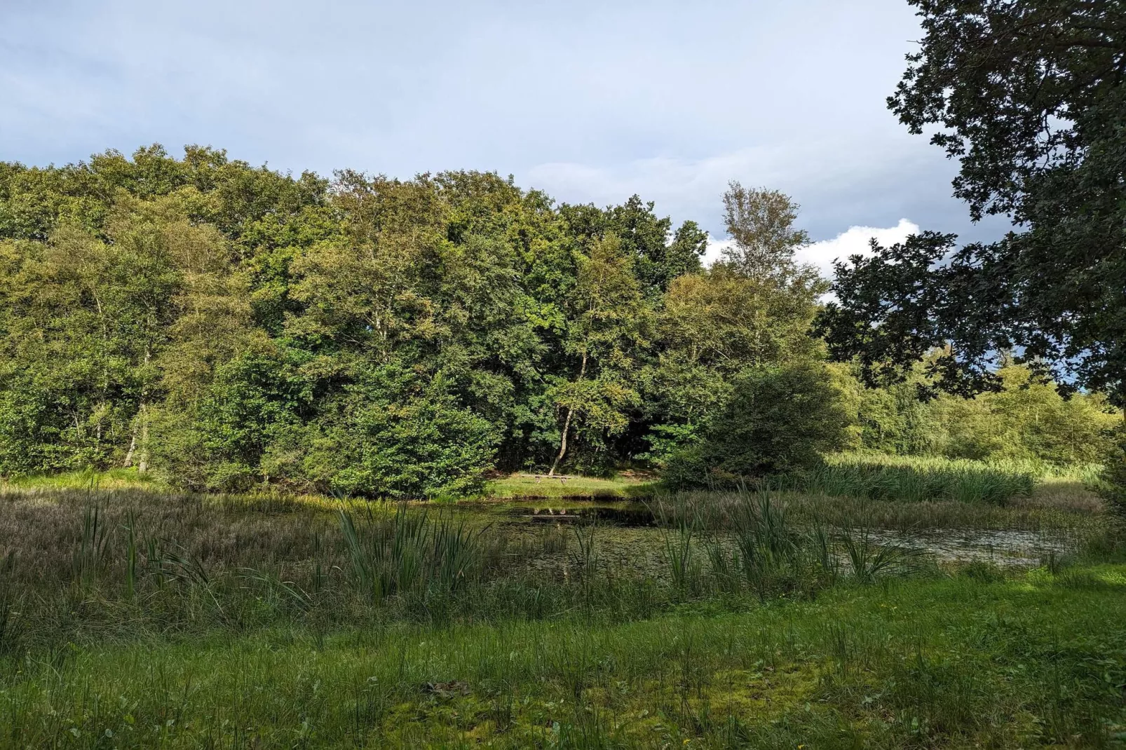 Gezellig toevluchtsoord in Arrild -- By Traum Ferienwohnungen-Waterzicht
