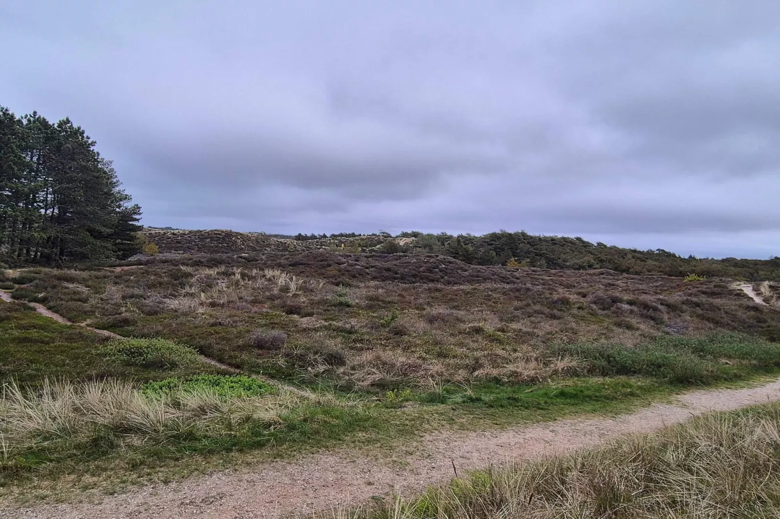 6 persoons vakantie huis in Rømø-By Traum-Niet-getagd