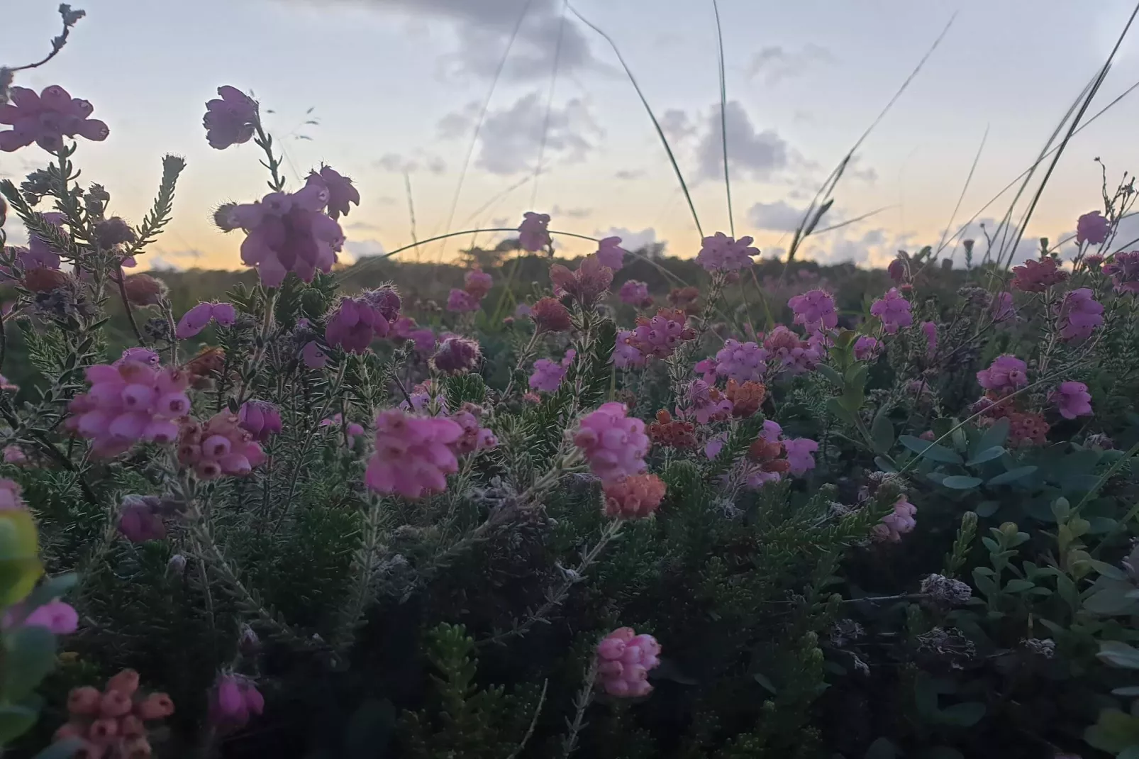 Afgelegen jaren 60 huisje -- By Traum Ferienwohnungen-Niet-getagd