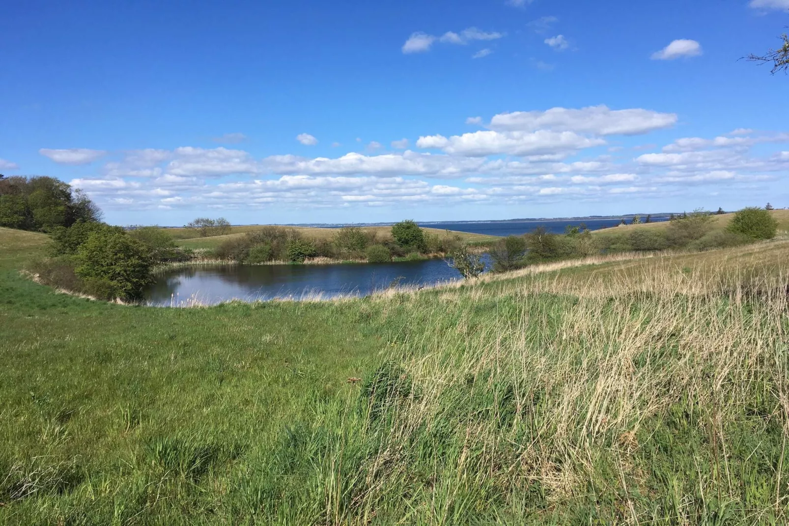 16 persoons vakantie huis in Vejby-Waterzicht