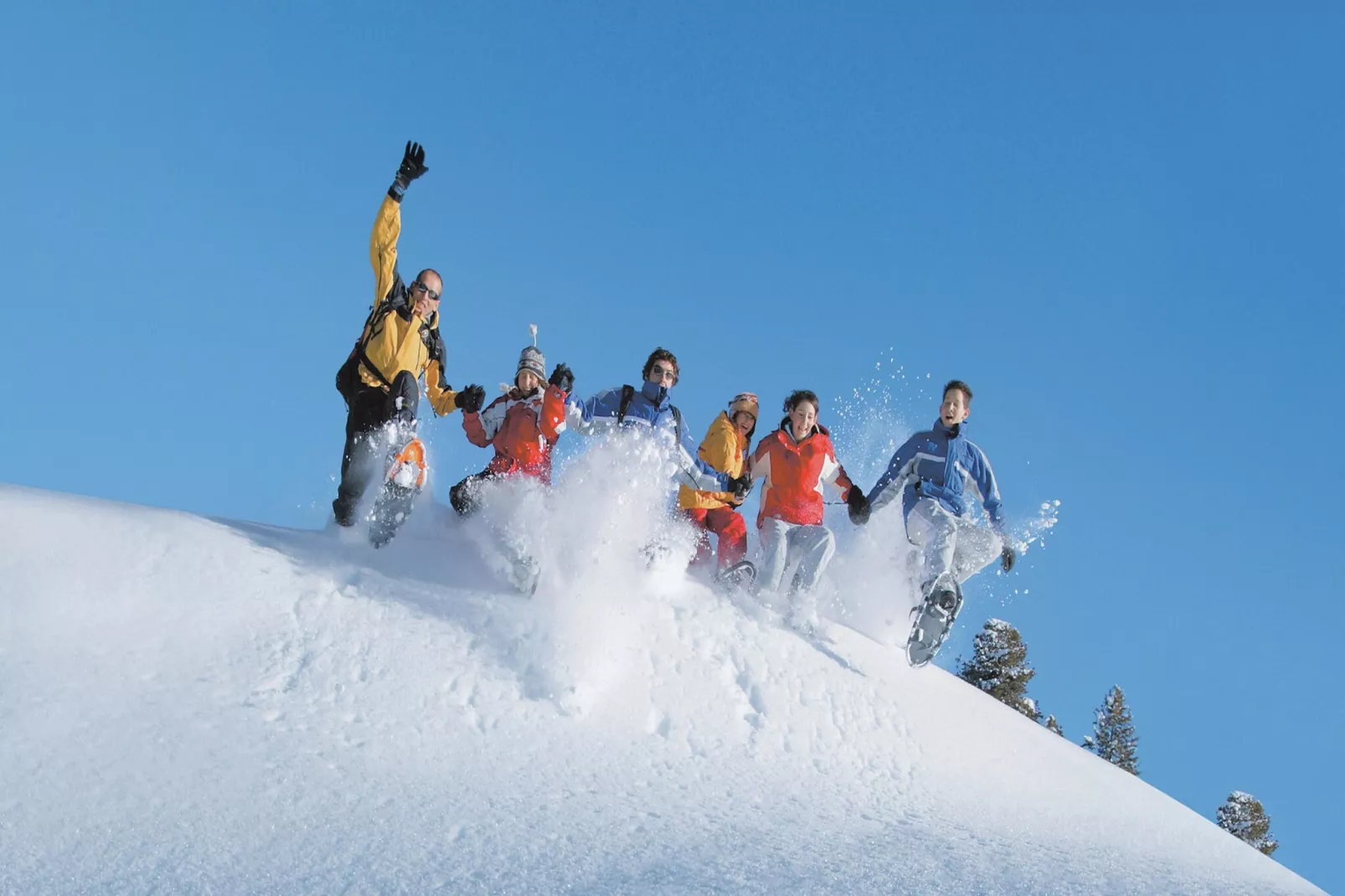 Grüner-Gebied winter 5km
