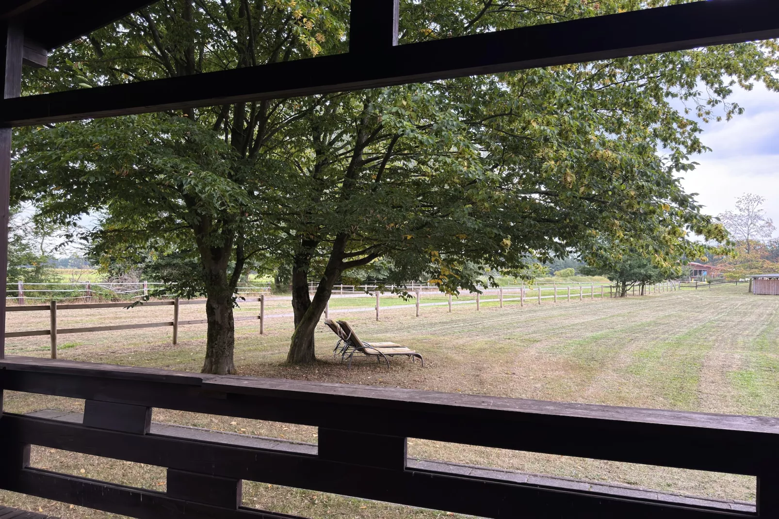 Lüneburger Heide-Uitzicht zomer