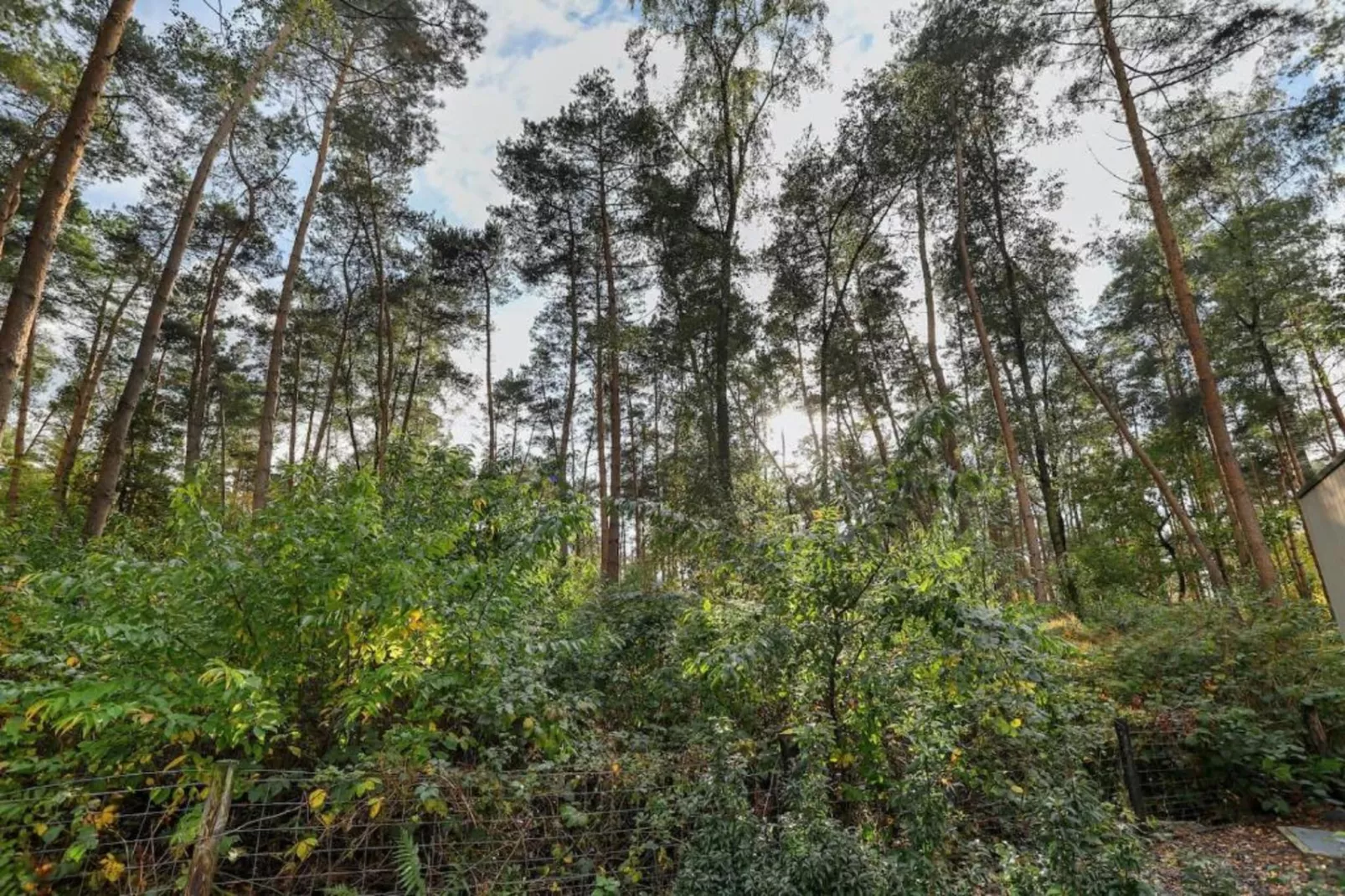 Bospark Markelo 4-Gebieden zomer 20km