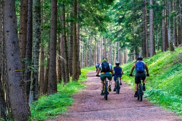 Pokój 3-osobowy na poddaszu Sarbinowo-Gebieden zomer 1km