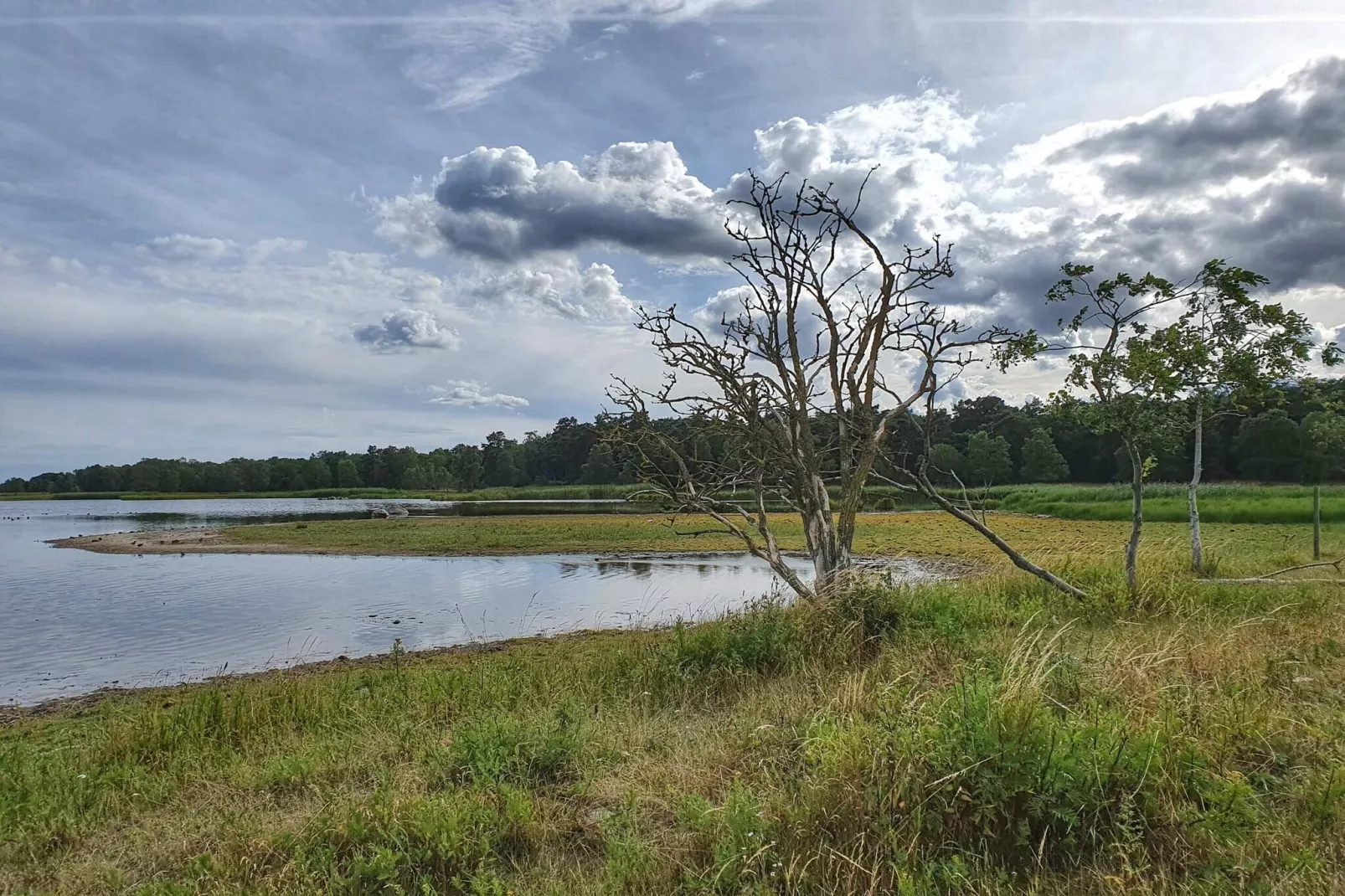 Gezellig huisje bij het strand in Ahus-Waterzicht