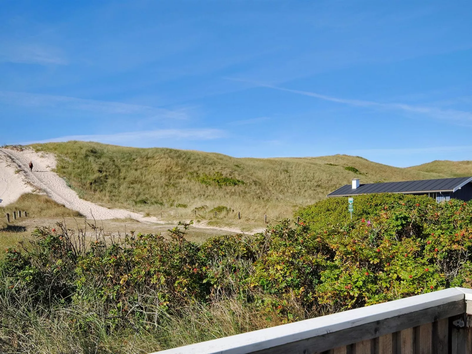 "Aase" -  from the sea-Buiten