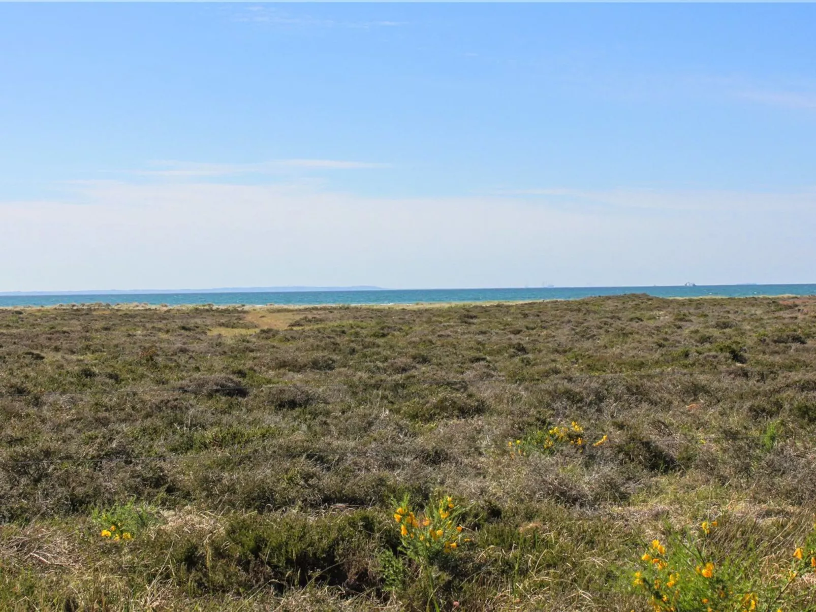 "Hatem" - 200m from the sea-Buiten