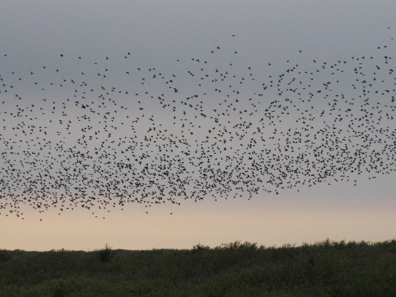 "Zekine" - 2.5km from the sea-Buiten