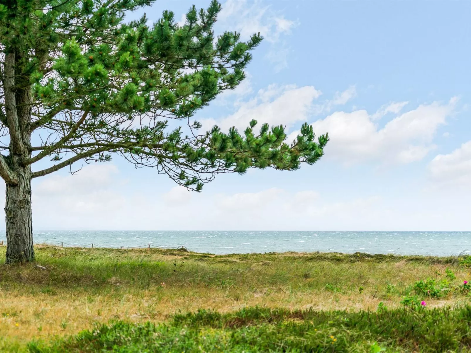 "Djuna" - 200m from the sea-Buiten