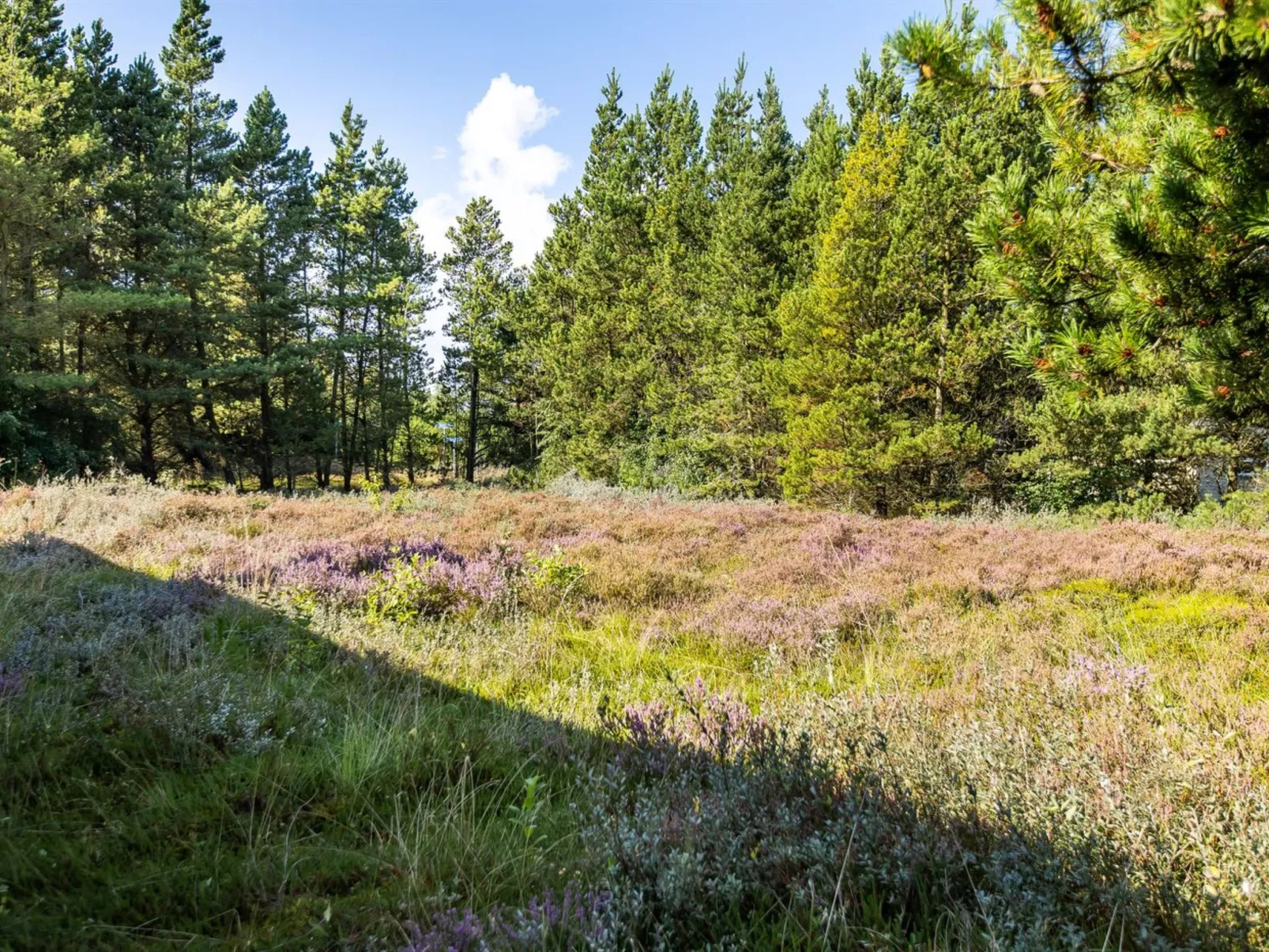 "Maija" - 1.4km from the sea