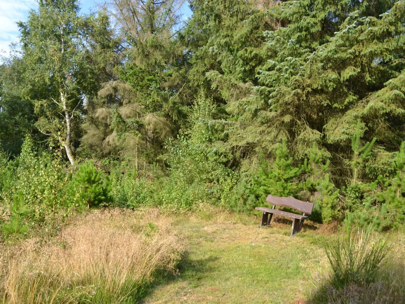 "Eilika" - 3.6km from the sea-Buiten