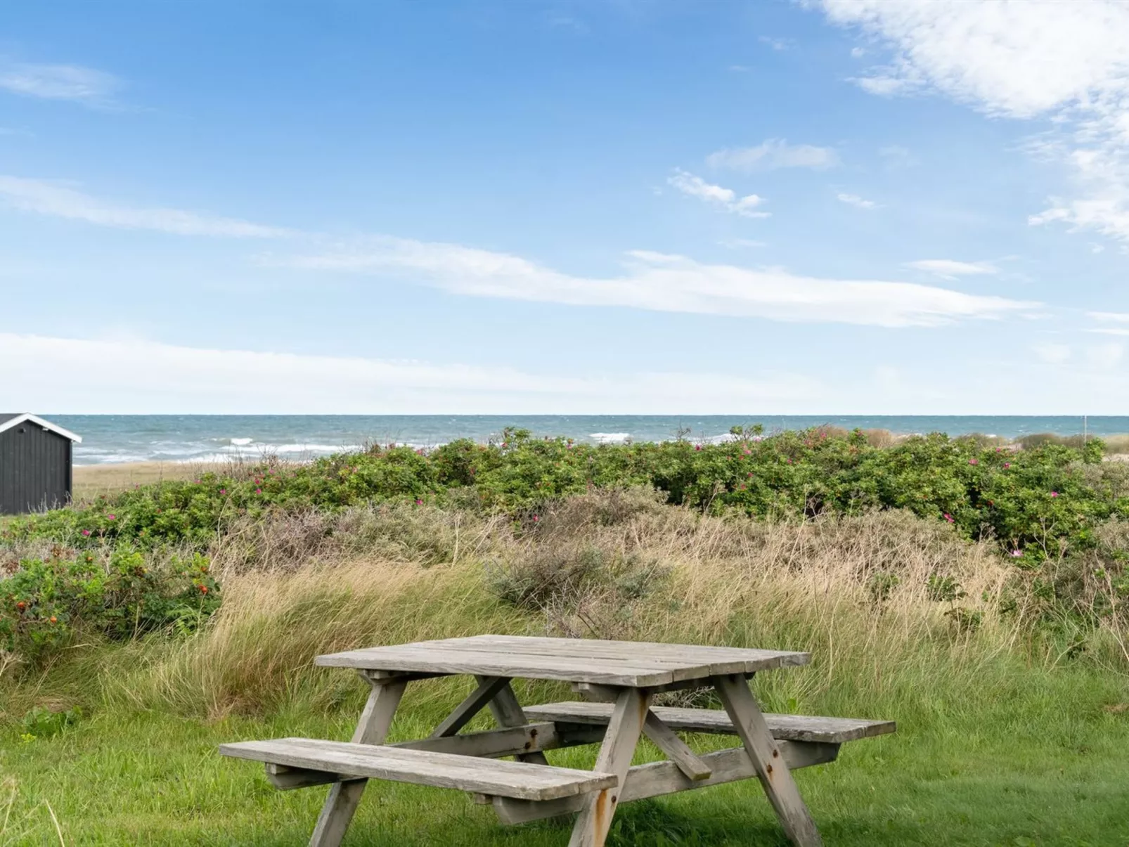 "Miroslava" - 140m from the sea-Buiten