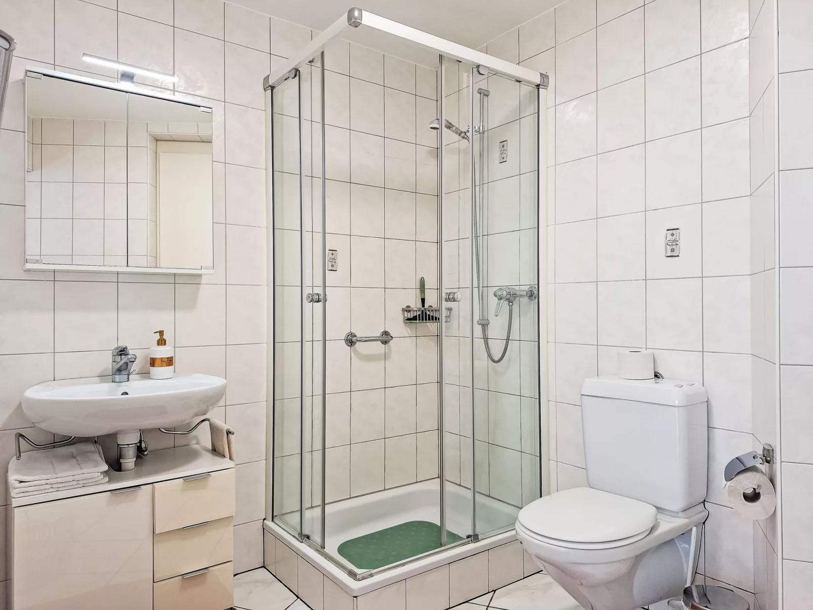 Am Brienzersee-Binnen