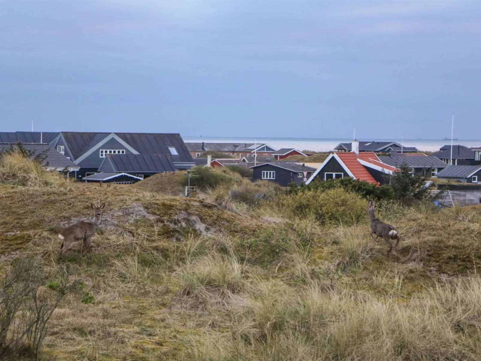 "Hansina" - 500m from the sea-Buiten