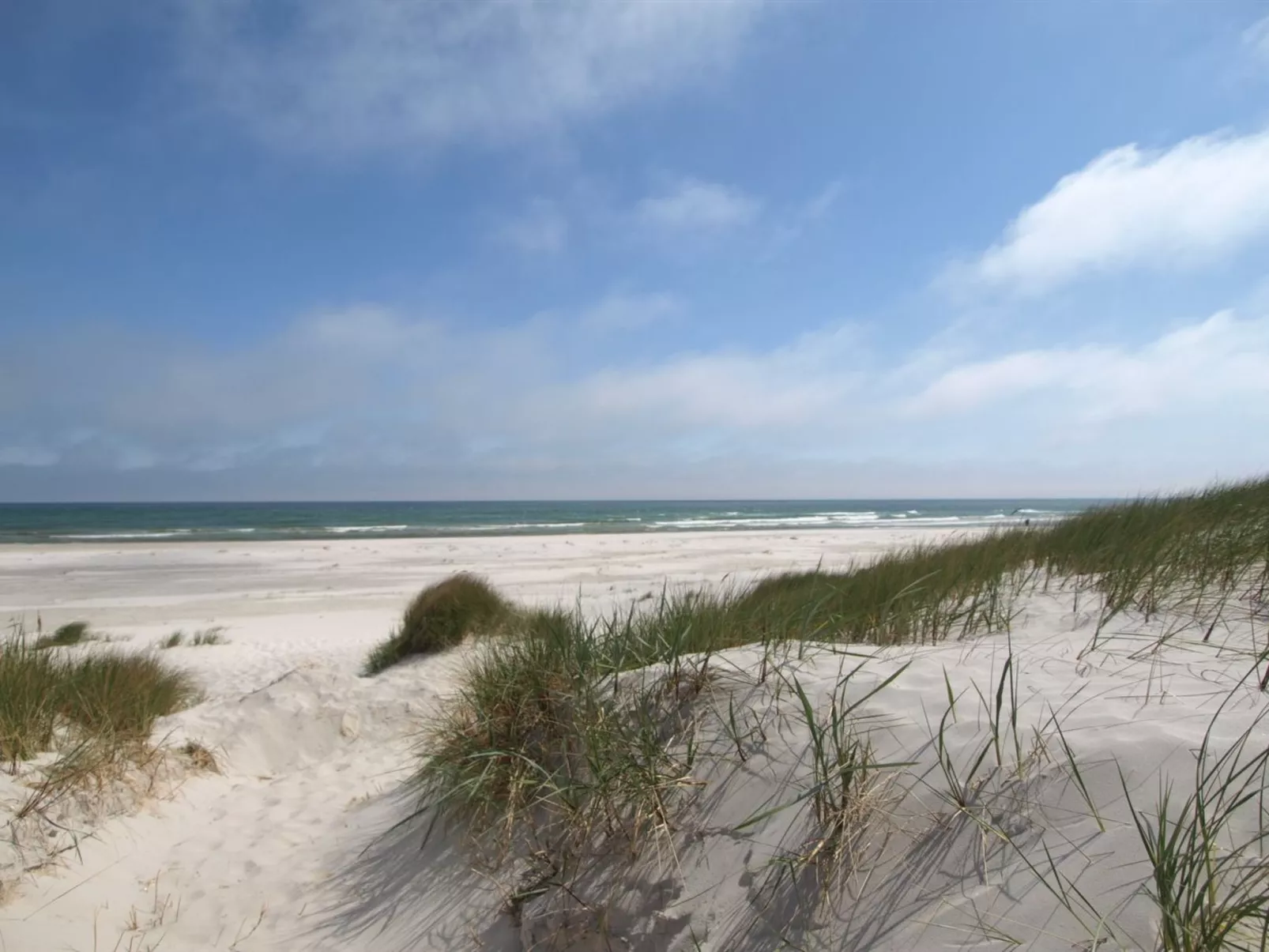 "Farina" - 150m from the sea-Buiten