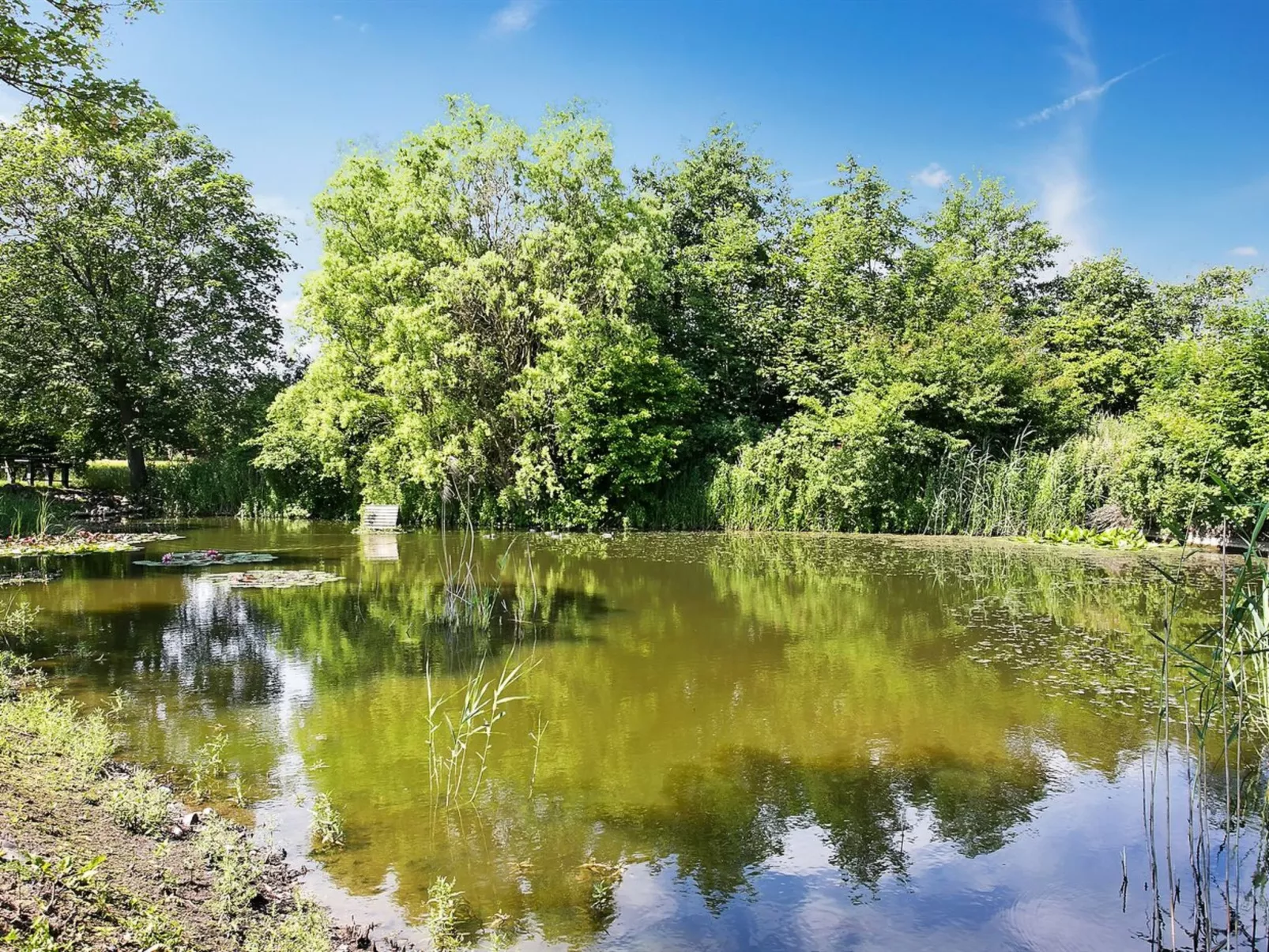 "Sibo" - 1.5km from the sea-Buiten