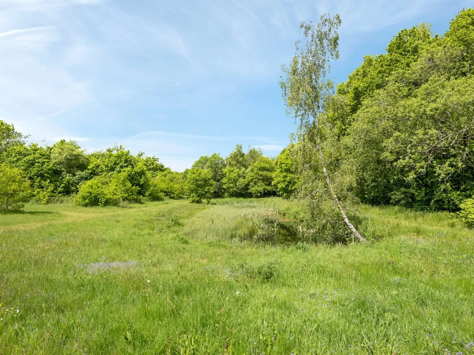 "Tydulf" - 34km from the sea-Buiten