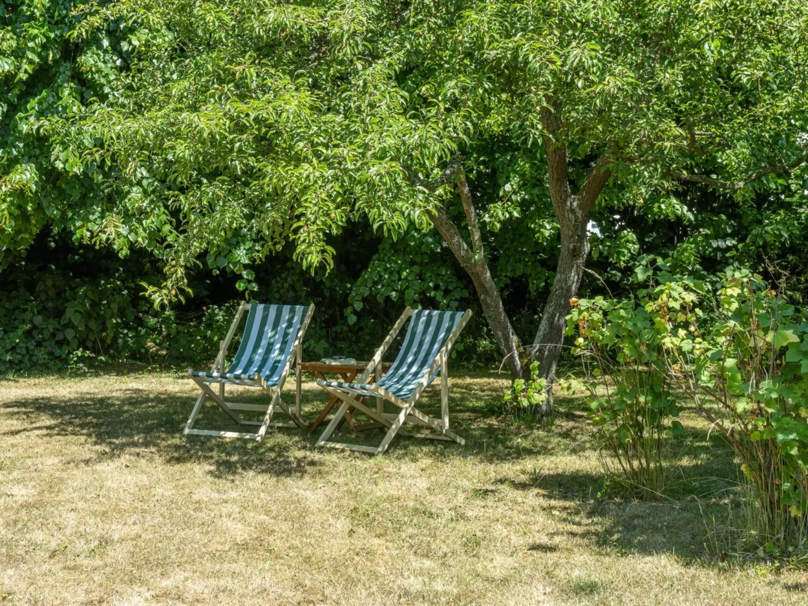 "Elvin" - 2.7km from the sea-Buiten