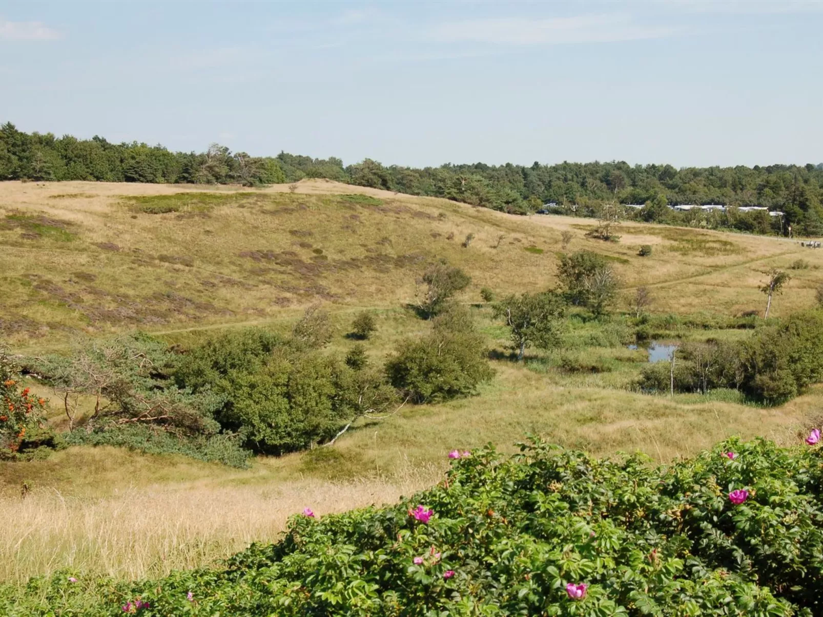 "Jonce" - 250m from the sea-Buiten