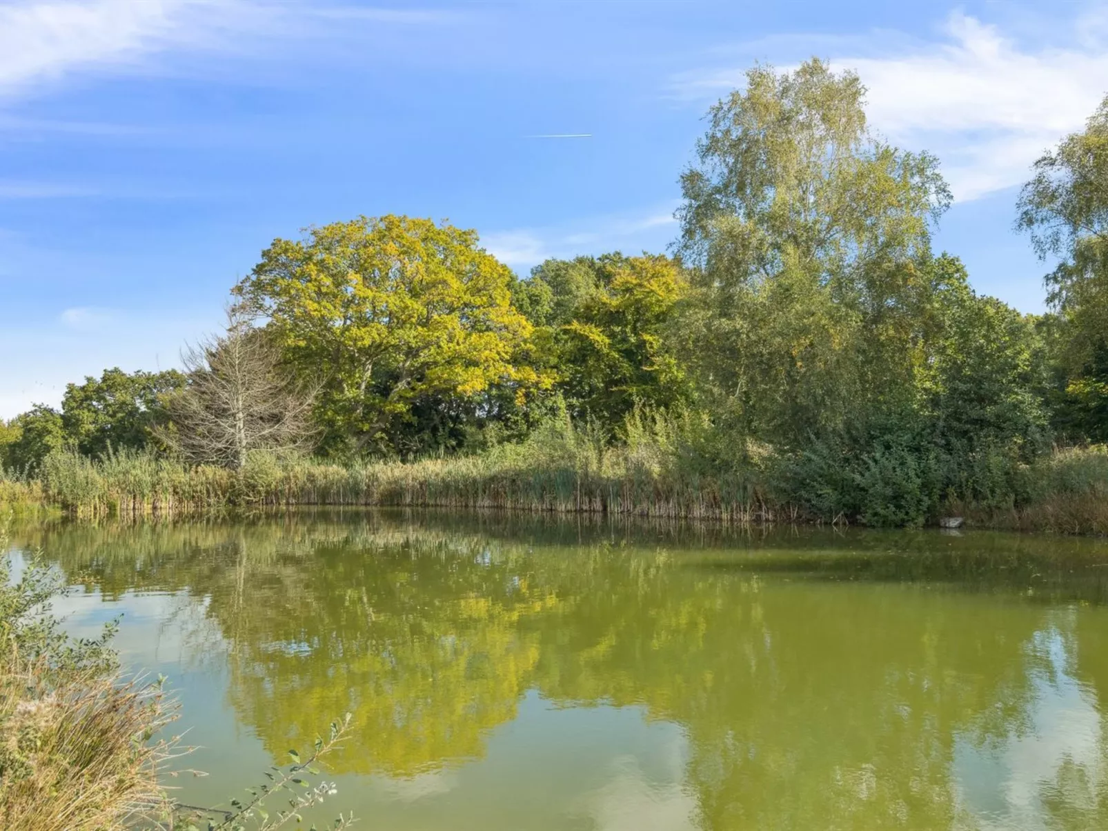 "Marrit" - 500m from the sea-Buiten