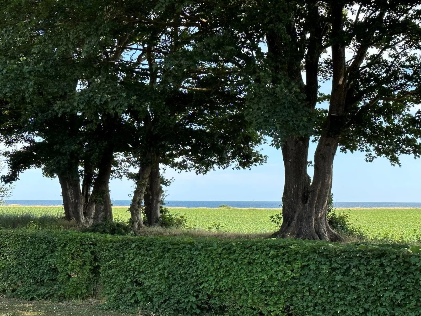 "Francis" - 300m from the sea-Buiten